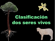 Clasificación dos seres vivos